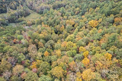 99999 Chastain Road Scaly Mountain NC 28775