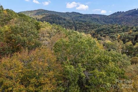 99999 Chastain Road Scaly Mountain NC 28775