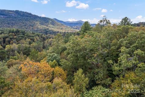 99999 Chastain Road Scaly Mountain NC 28775