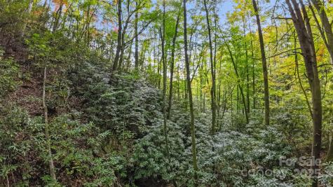 99999 Chastain Road Scaly Mountain NC 28775