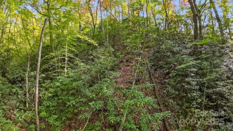 99999 Chastain Road Scaly Mountain NC 28775