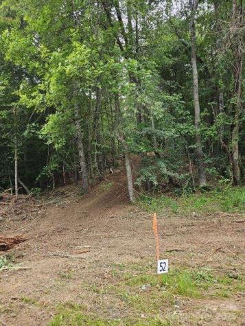 9999 Settlers Trail Mars Hill NC 28754