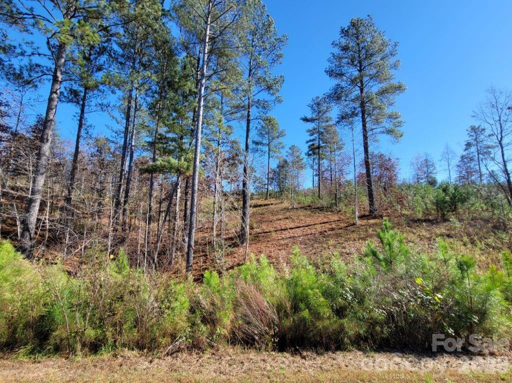 2076 Island View Lane NE Connelly Springs NC 28612