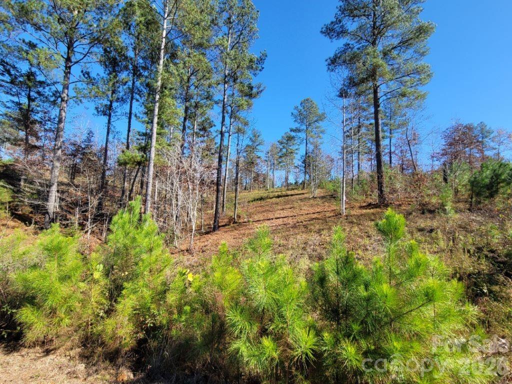 2076 Island View Lane NE Connelly Springs NC 28612