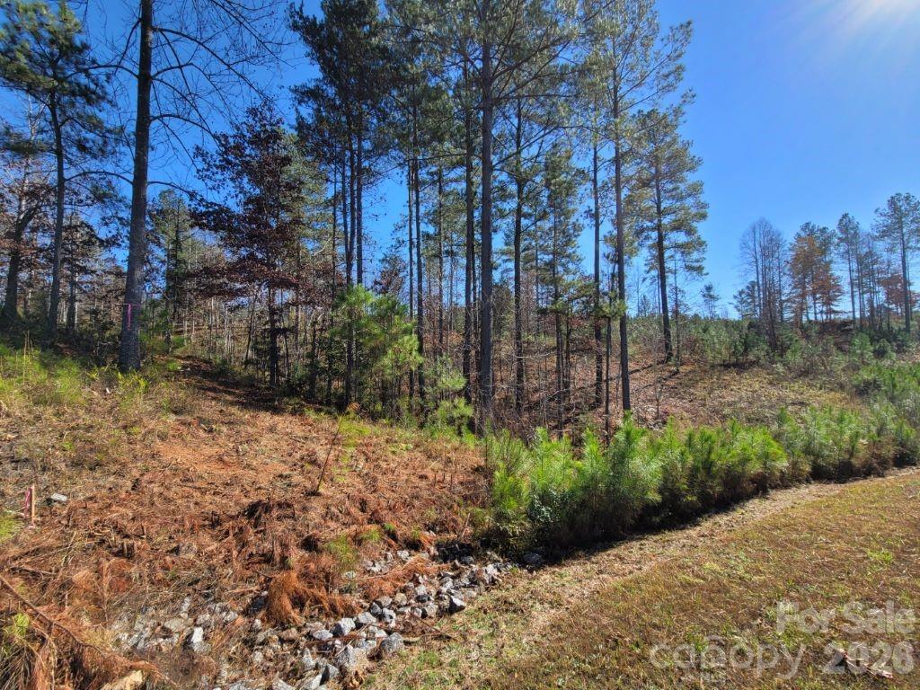 2076 Island View Lane NE Connelly Springs NC 28612