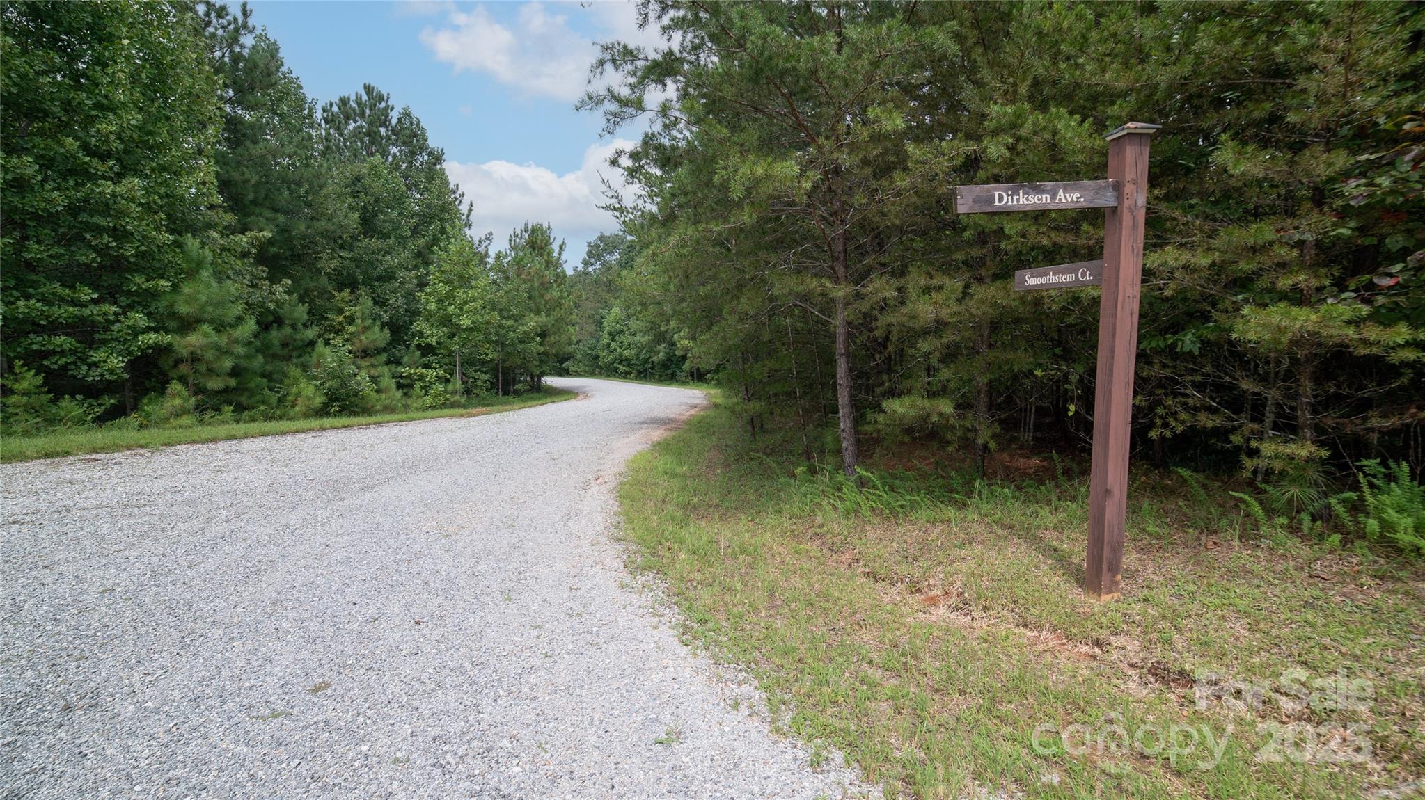 Lot 84 Smoothstem Court Nebo NC 28761