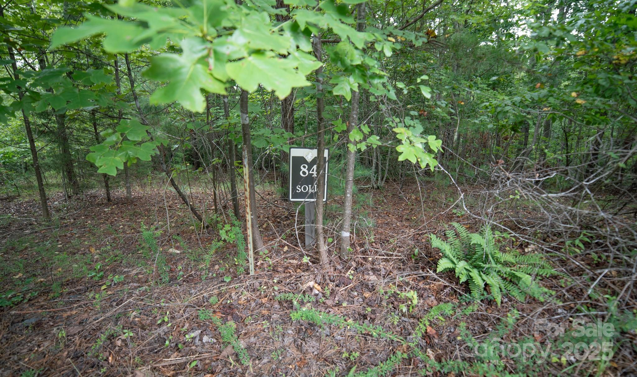 Lot 84 Smoothstem Court Nebo NC 28761