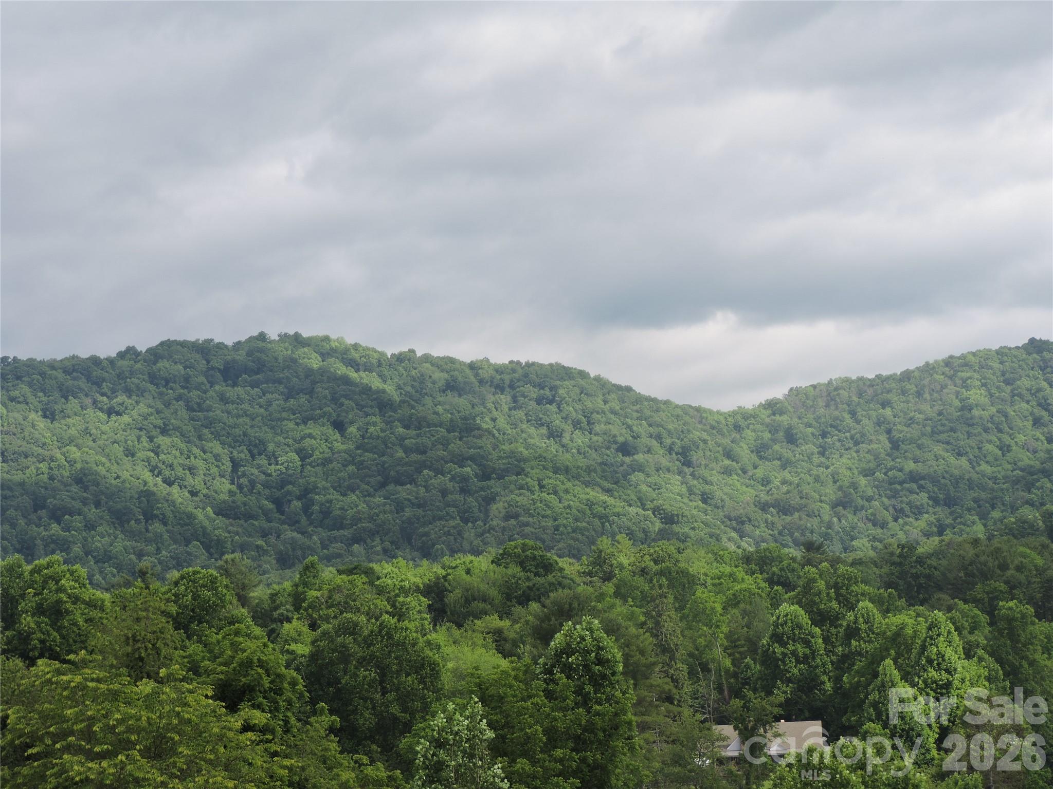 60 Gins Lane Mars Hill NC 28754