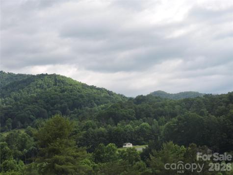 60 Gins Lane Mars Hill NC 28754