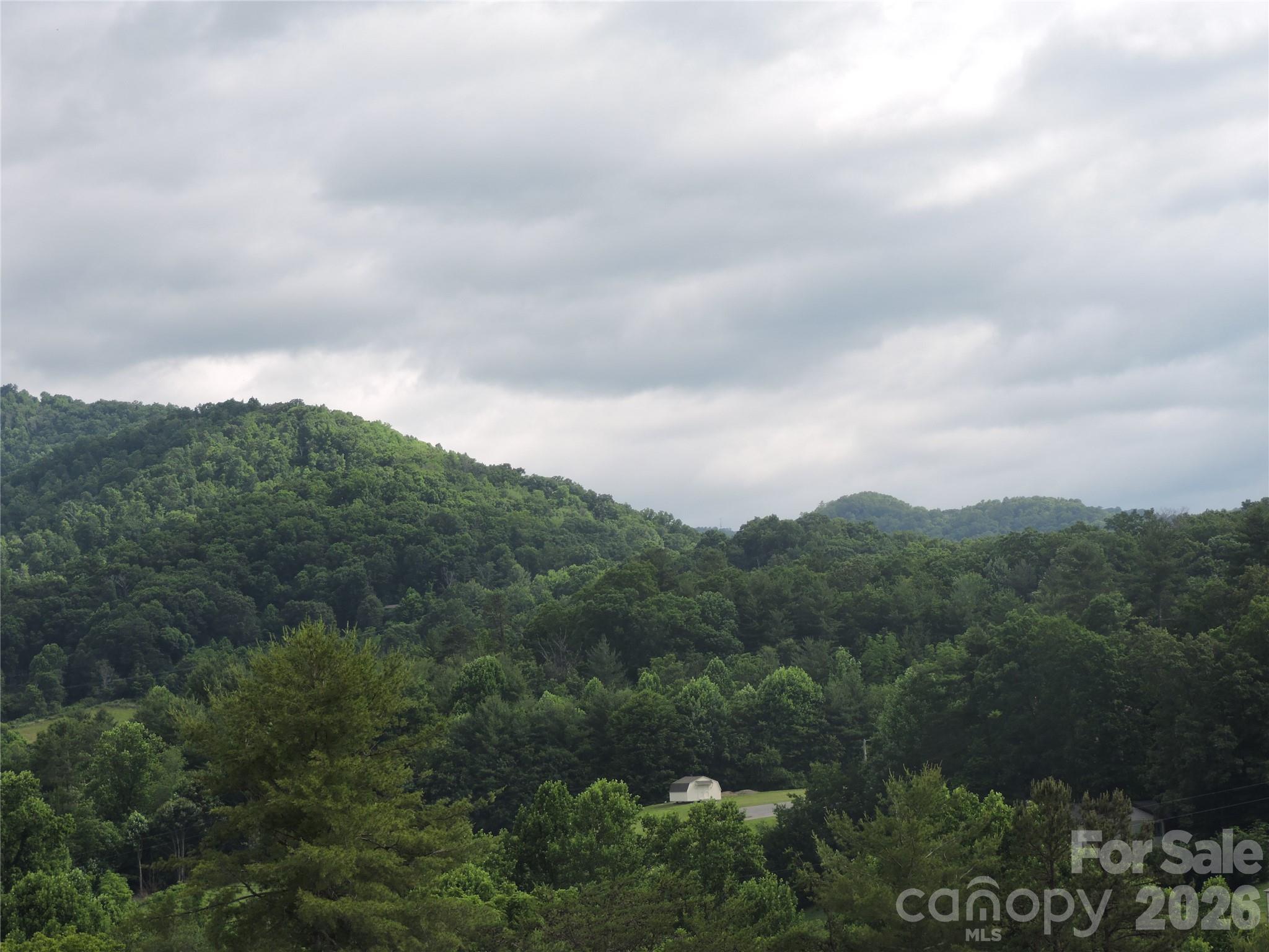 60 Gins Lane Mars Hill NC 28754