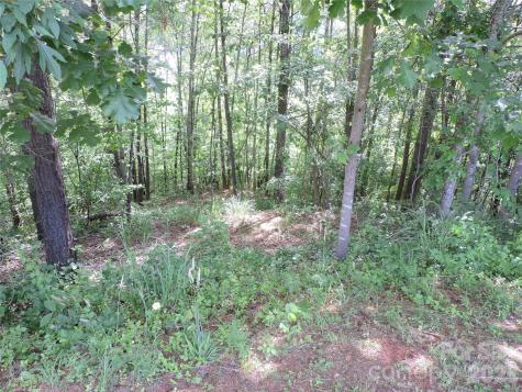 60 Gins Lane Mars Hill NC 28754