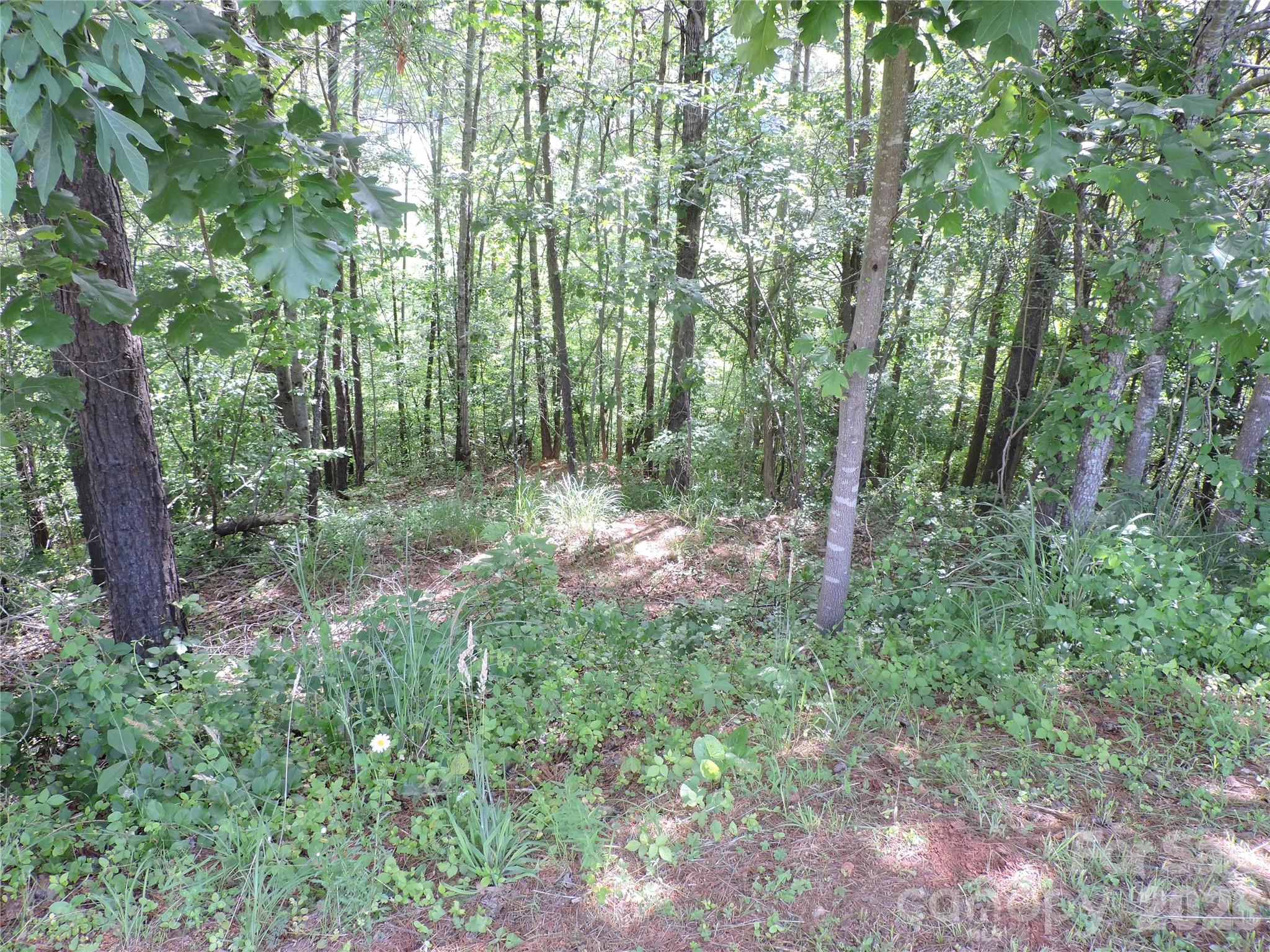 60 Gins Lane Mars Hill NC 28754