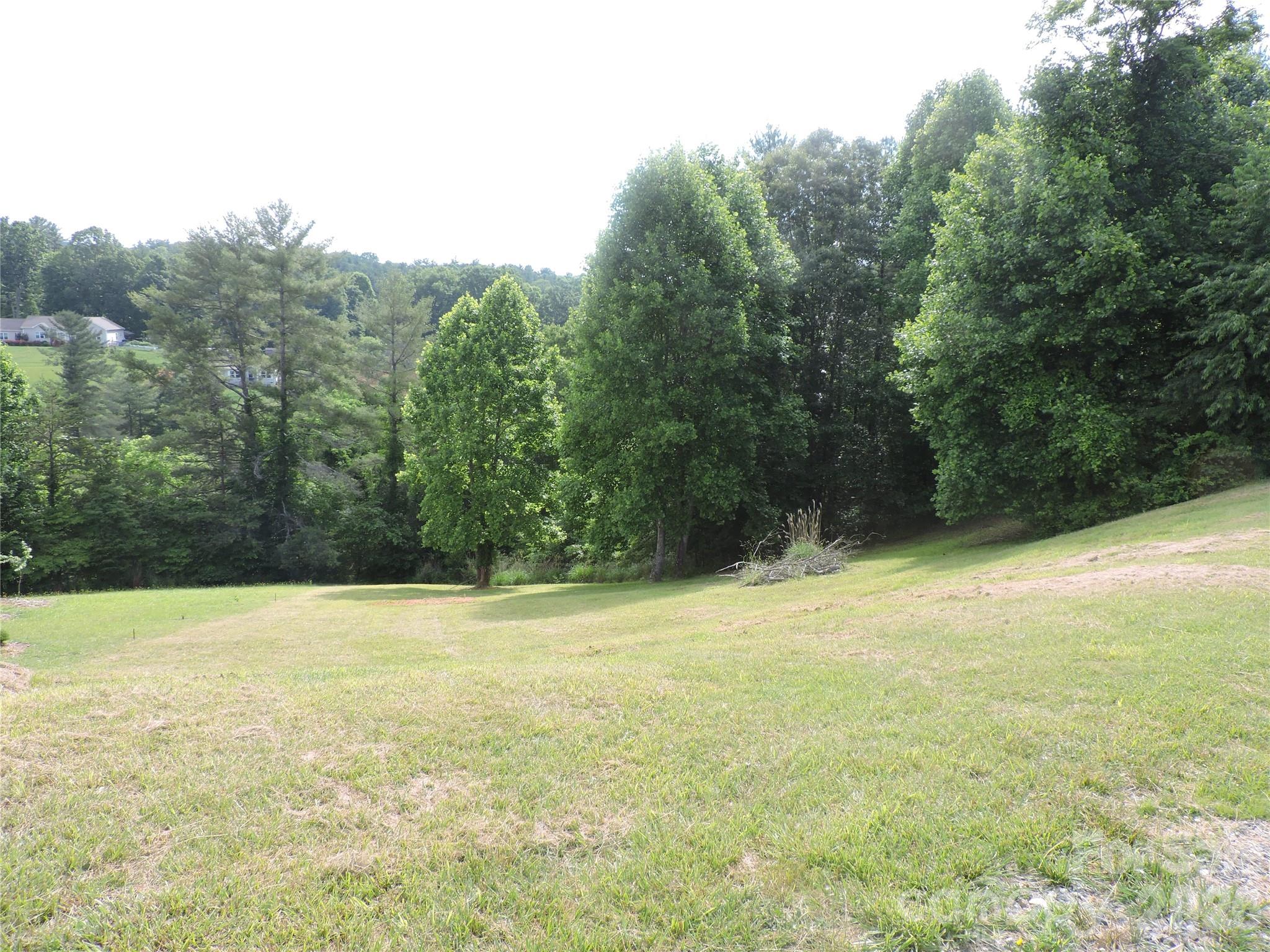 60 Gins Lane Mars Hill NC 28754