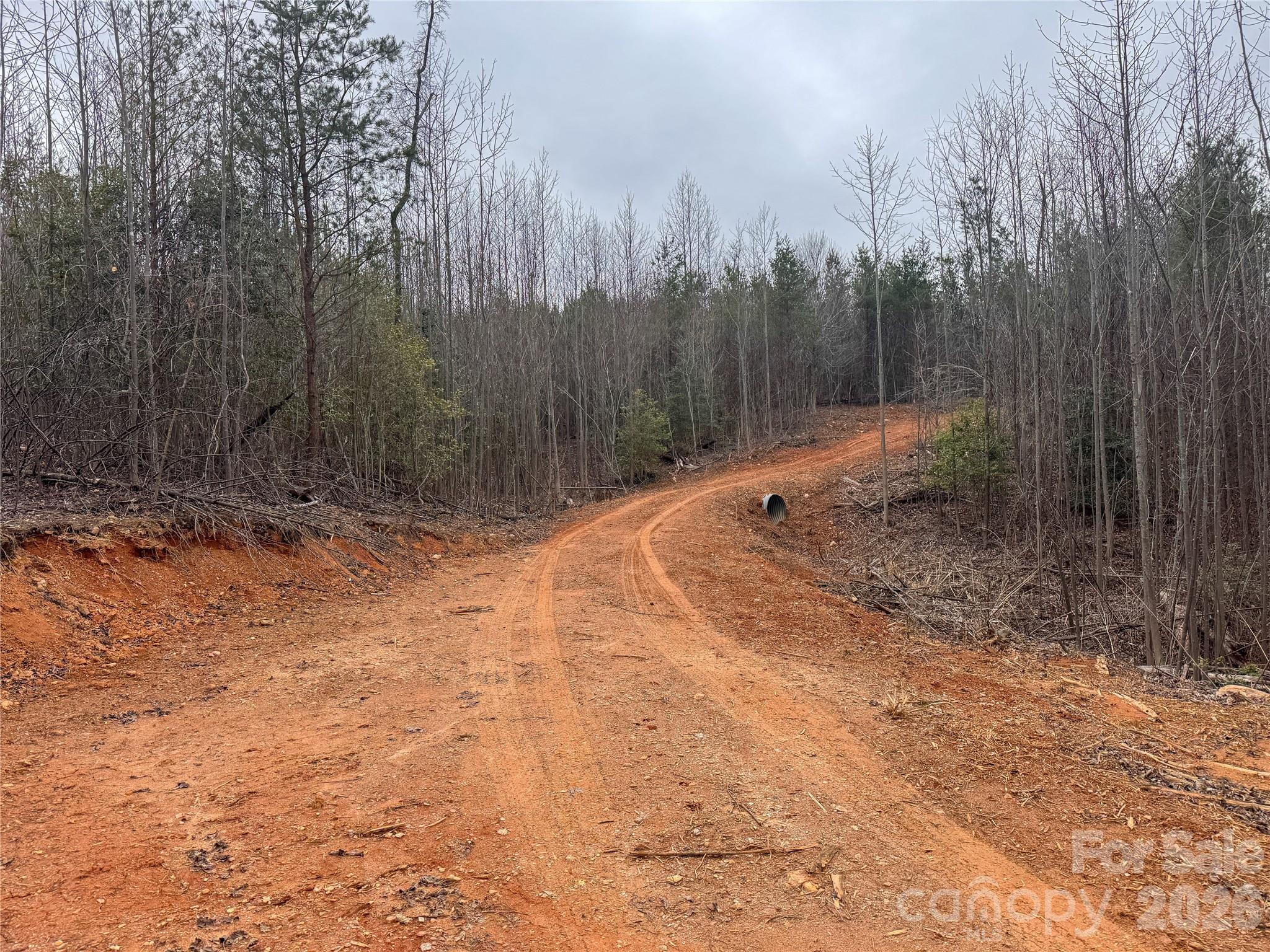 00 Baugess Mill Road Traphill NC 28685