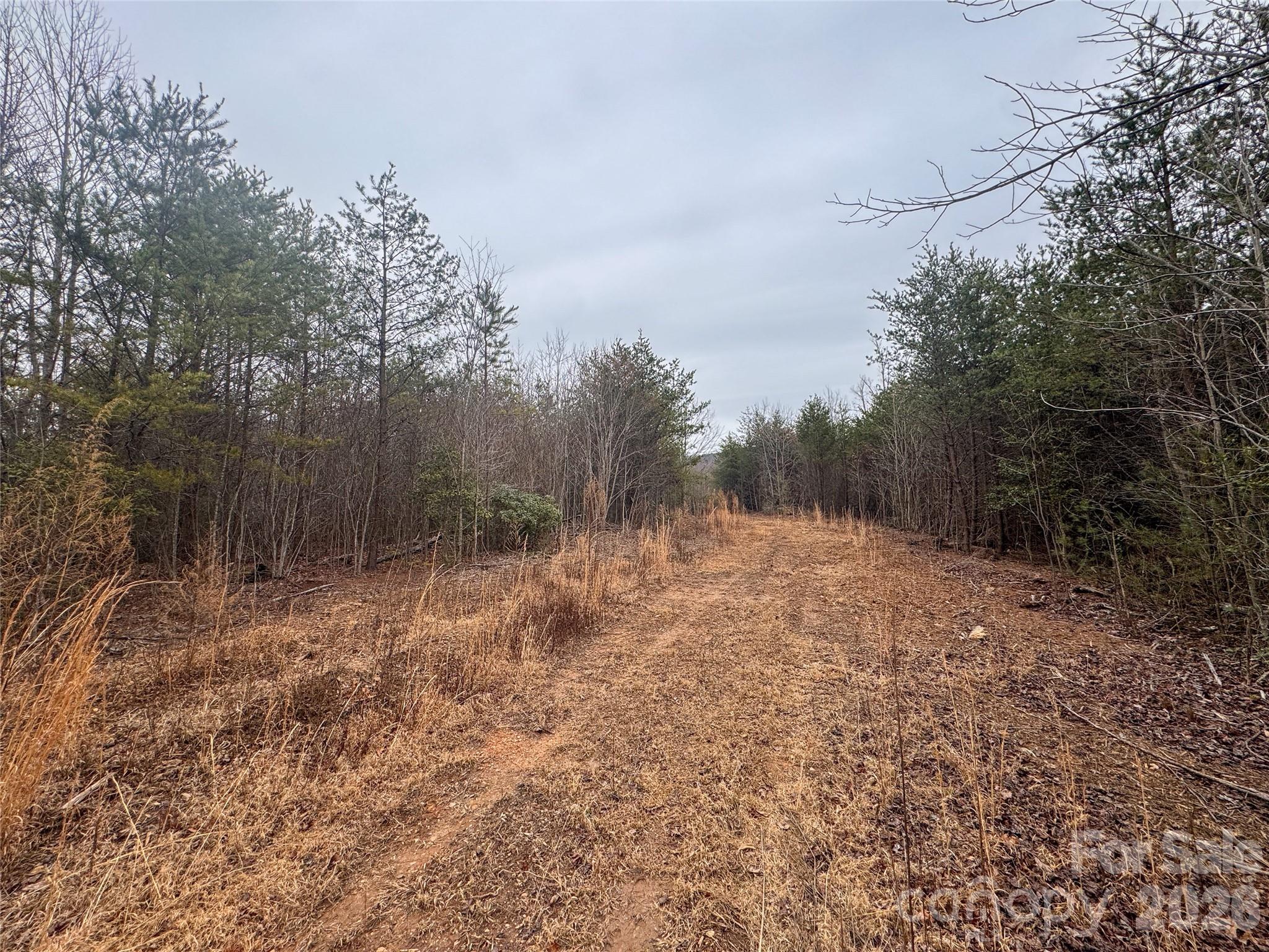 00 Baugess Mill Road Traphill NC 28685