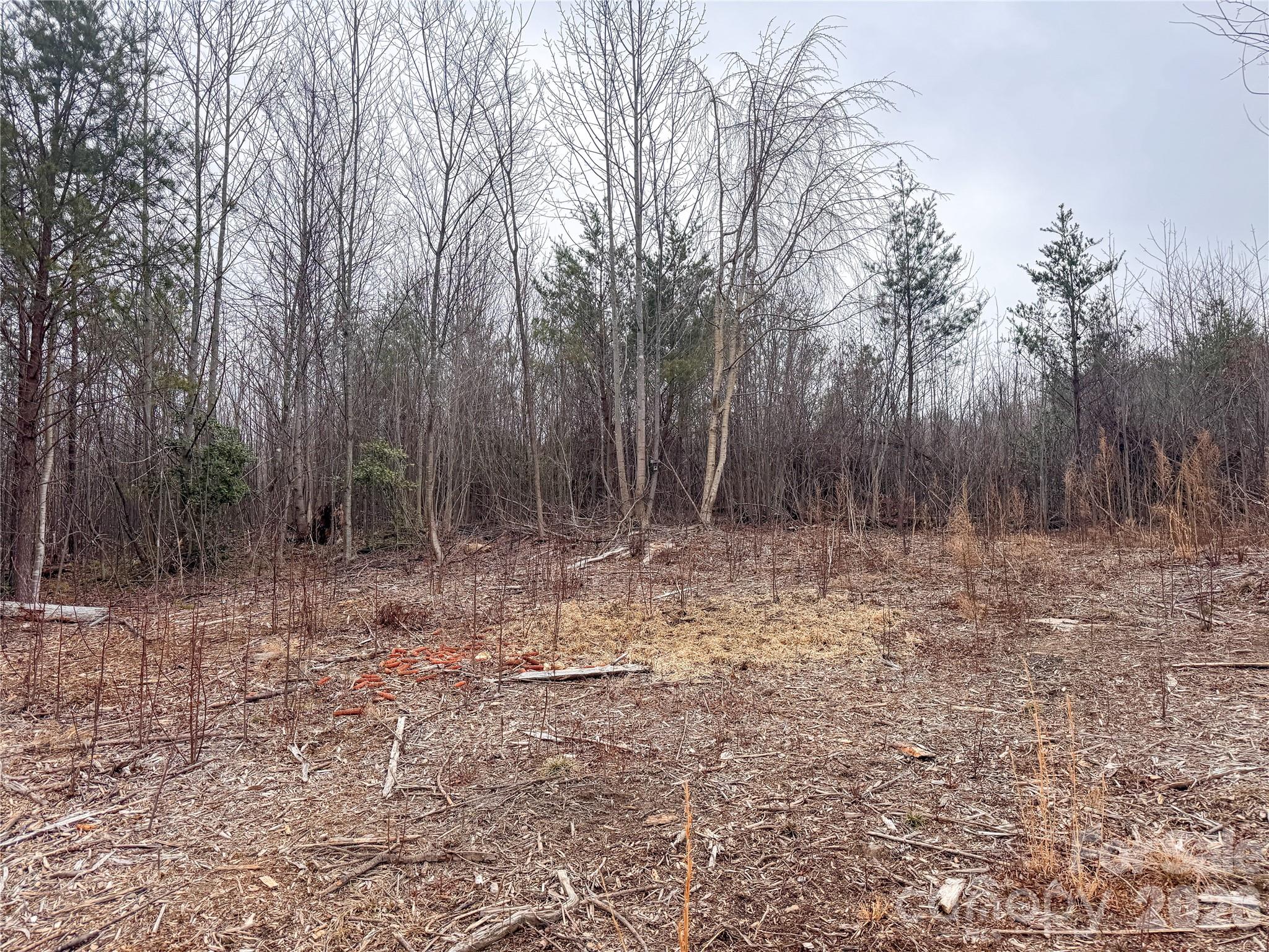 00 Baugess Mill Road Traphill NC 28685