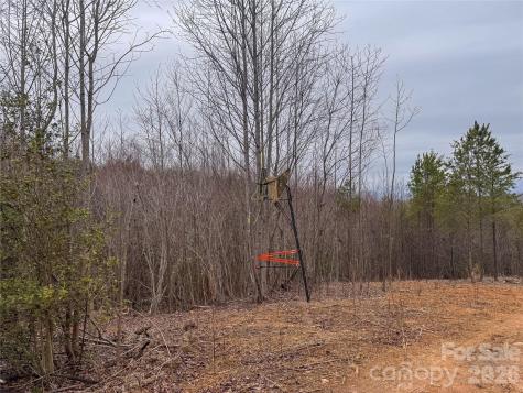 00 Baugess Mill Road Traphill NC 28685