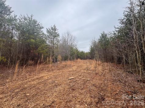 00 Baugess Mill Road Traphill NC 28685