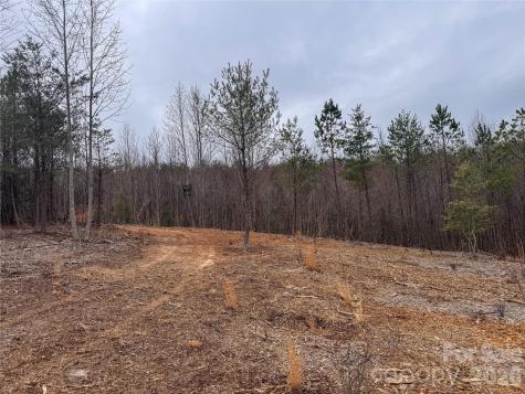 00 Baugess Mill Road Traphill NC 28685