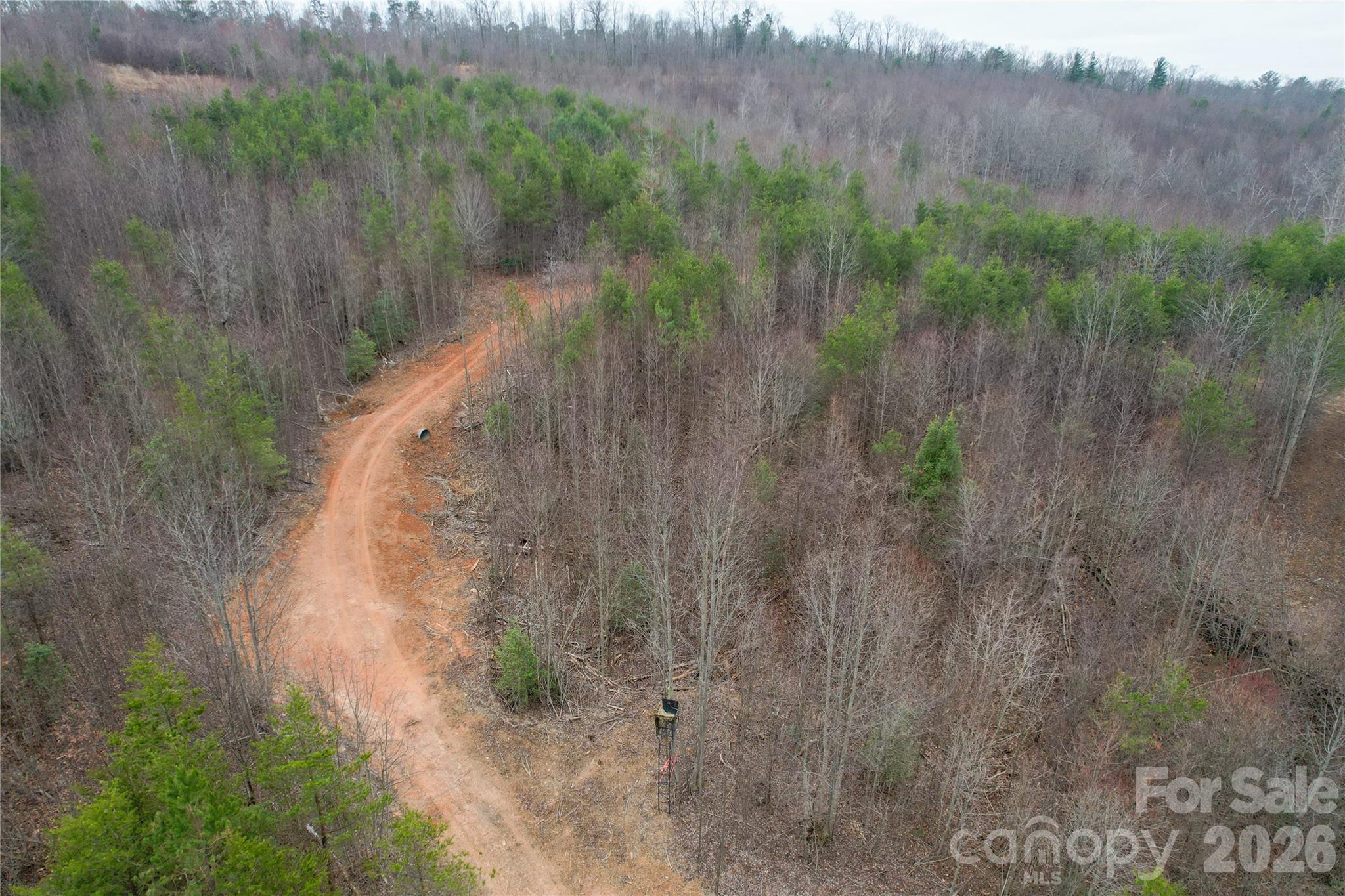 00 Baugess Mill Road Traphill NC 28685