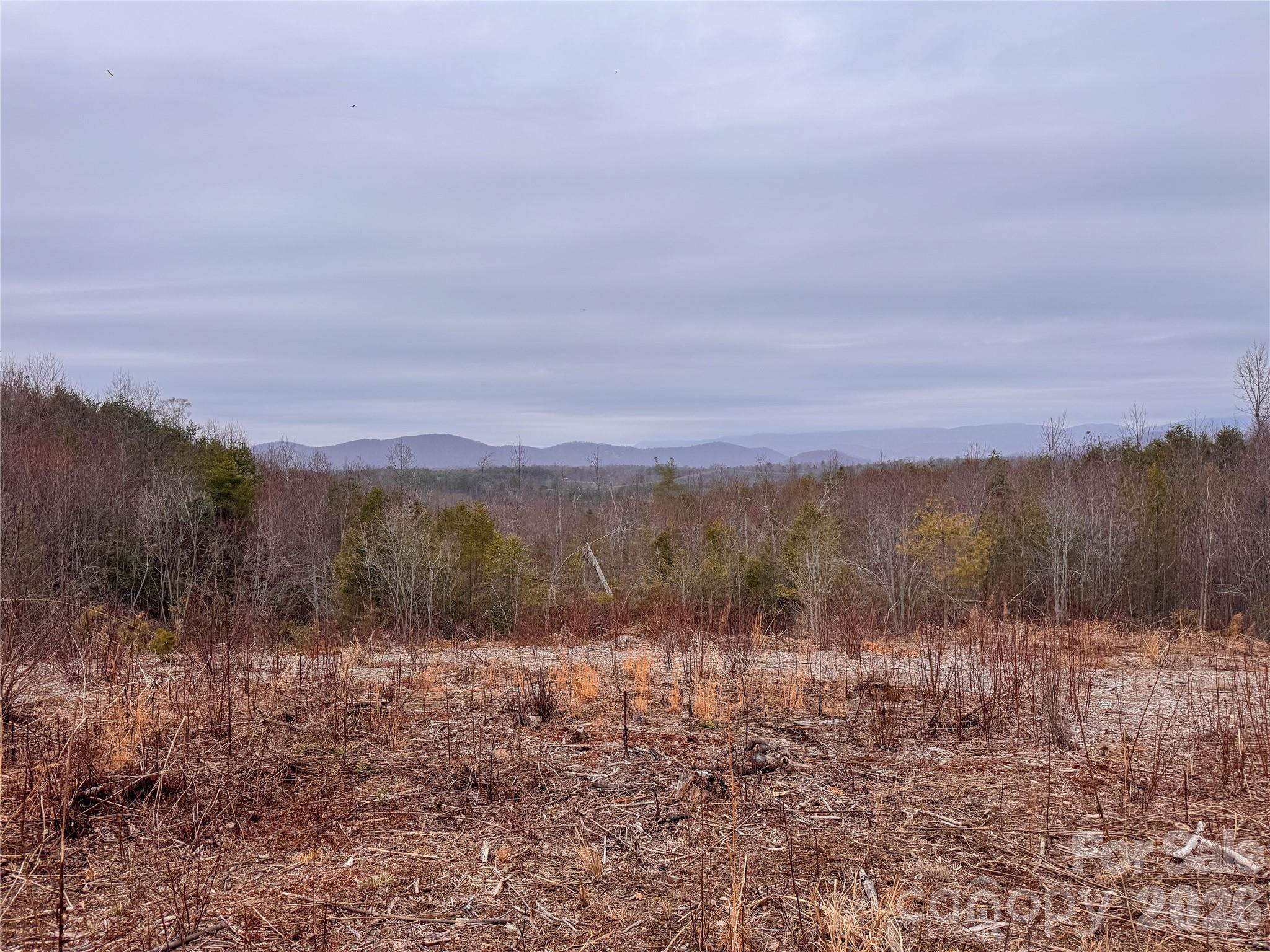 00 Baugess Mill Road Traphill NC 28685