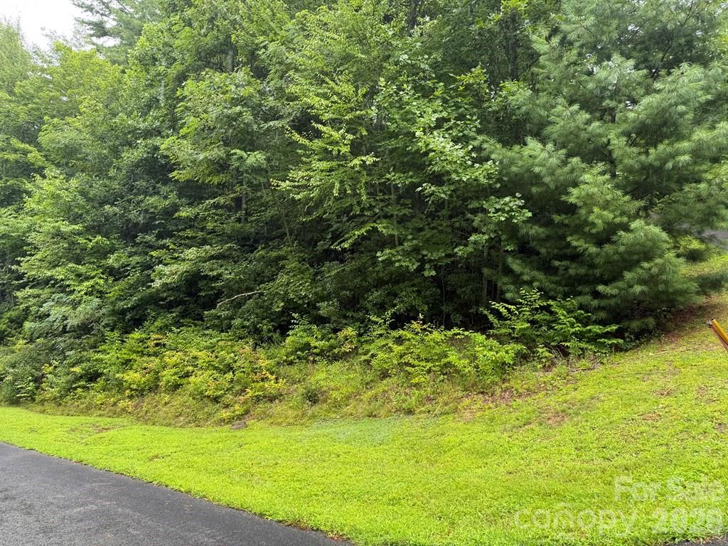 Lot 6 Garnet Road Sylva NC 28779