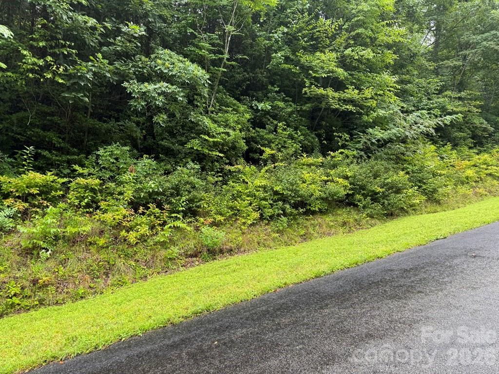 Lot 6 Garnet Road Sylva NC 28779