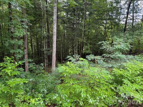 Lot 6 Garnet Road Sylva NC 28779