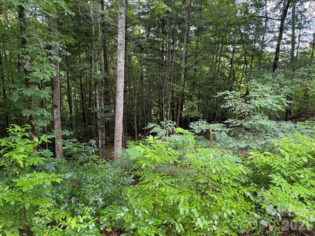 Lot 6 Garnet Road Sylva NC 28779