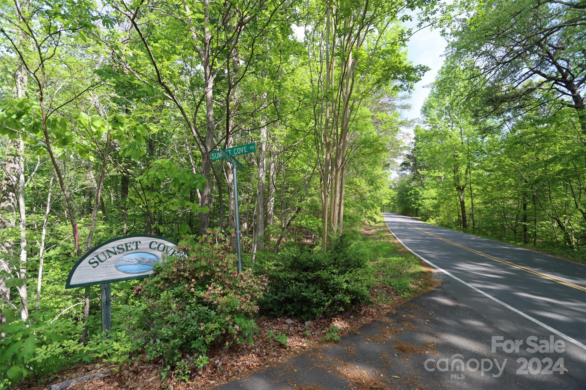 00 Buffalo Shoals Road Lake Lure NC 28746