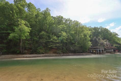 00 Buffalo Shoals Road Lake Lure NC 28746