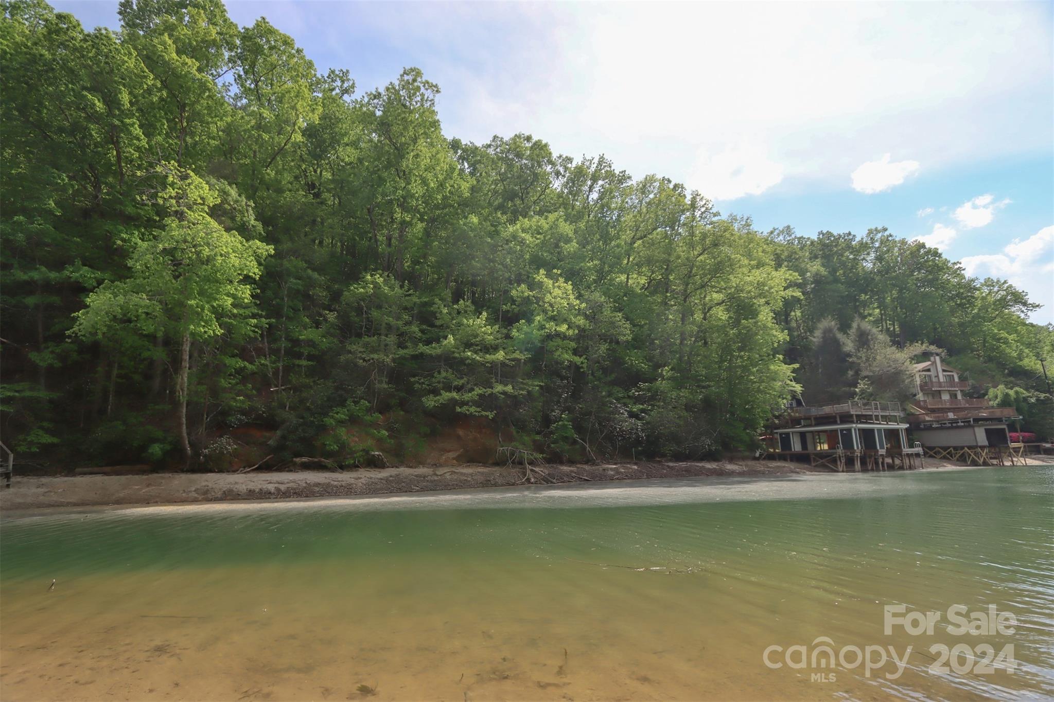 00 Buffalo Shoals Road Lake Lure NC 28746