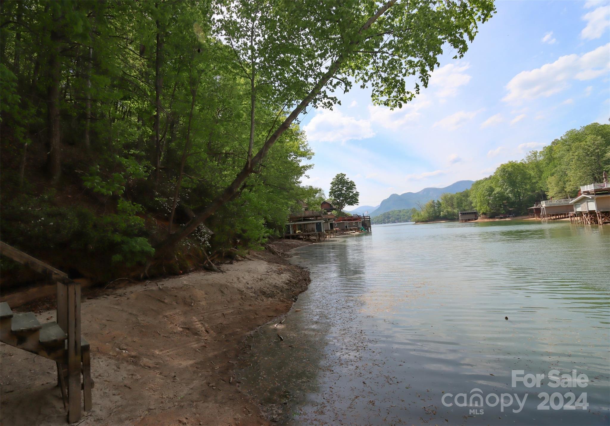 00 Buffalo Shoals Road Lake Lure NC 28746