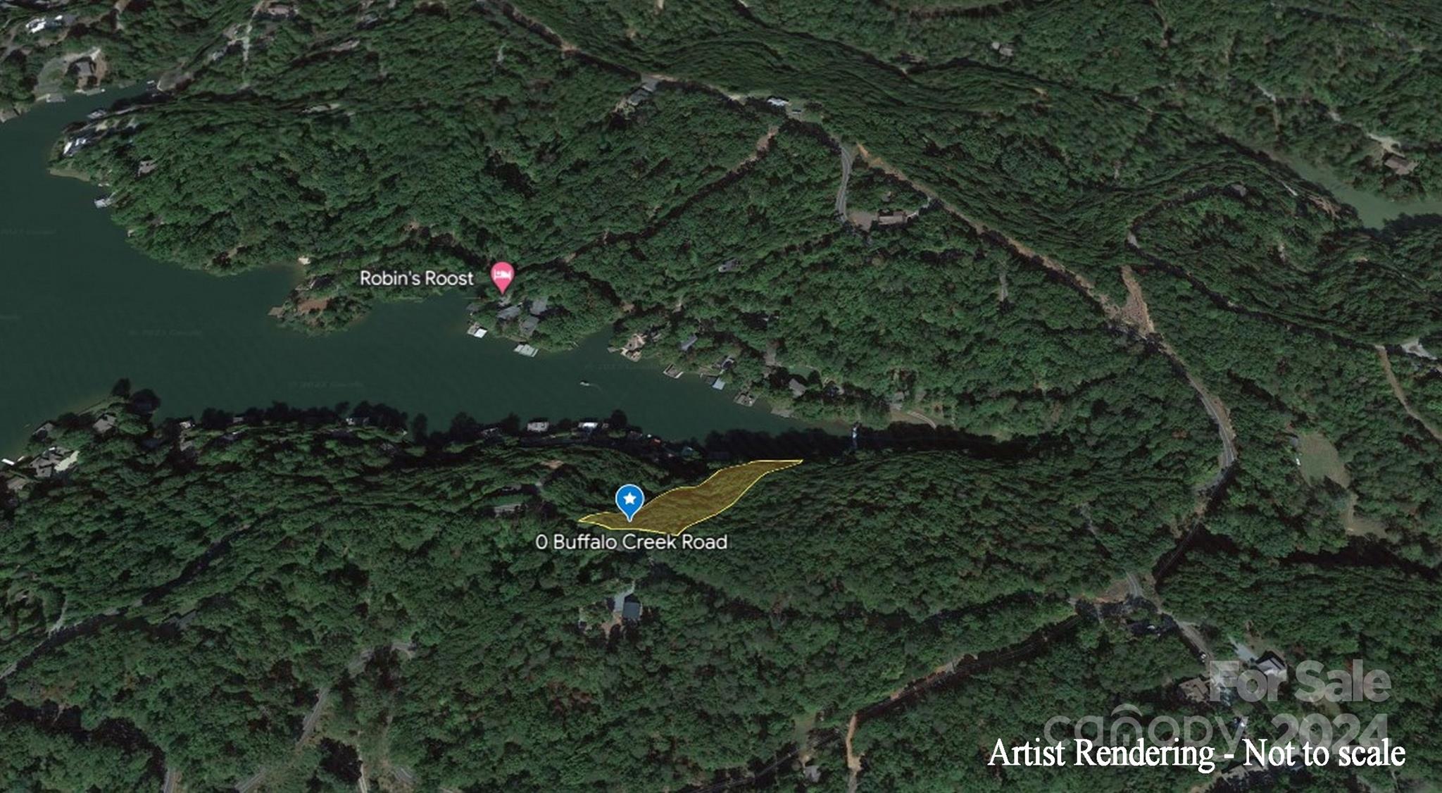 00 Buffalo Shoals Road Lake Lure NC 28746