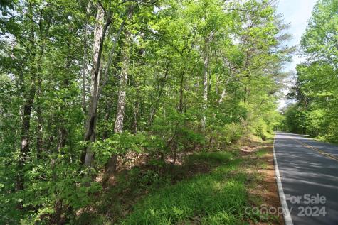 00 Buffalo Shoals Road Lake Lure NC 28746