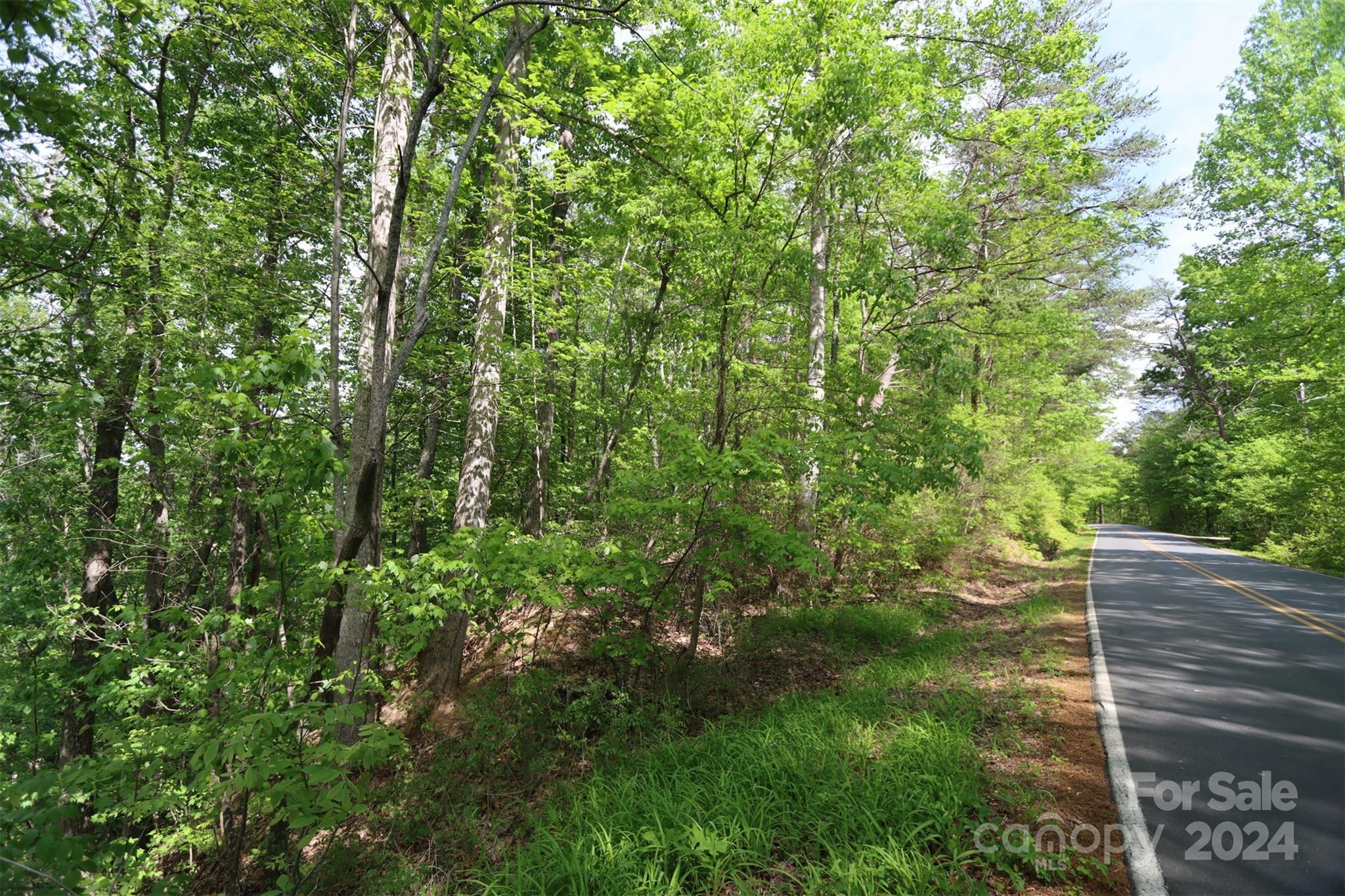 00 Buffalo Shoals Road Lake Lure NC 28746