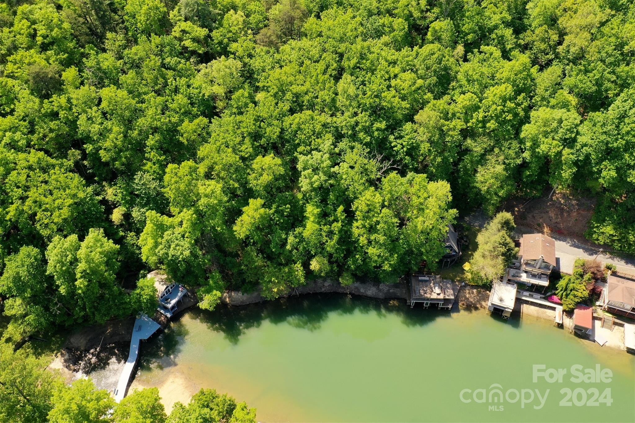 00 Buffalo Shoals Road Lake Lure NC 28746
