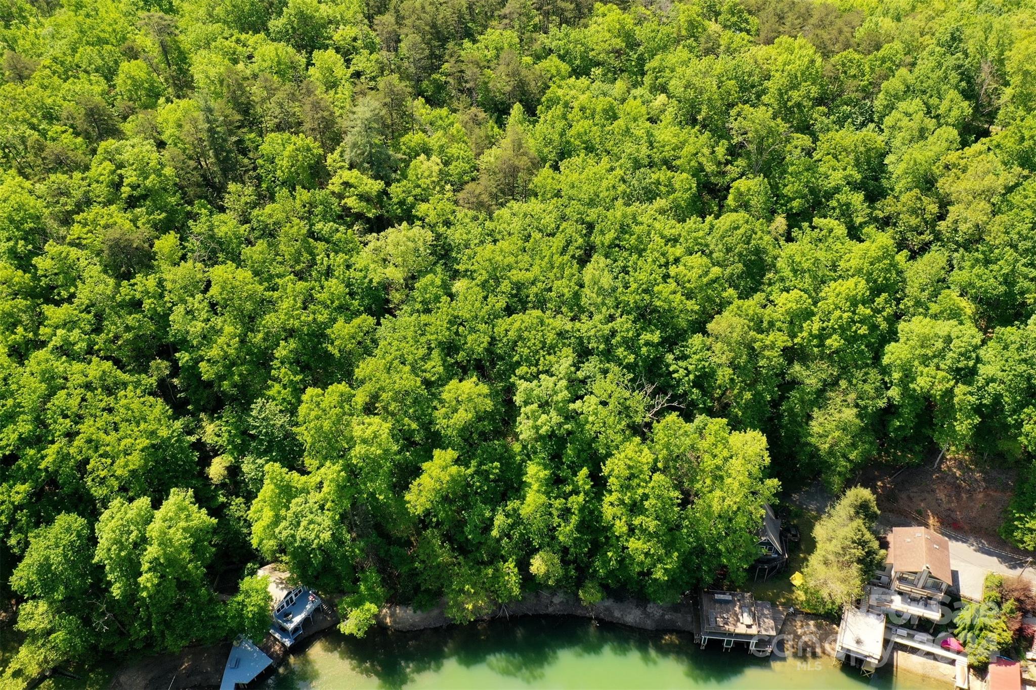 00 Buffalo Shoals Road Lake Lure NC 28746
