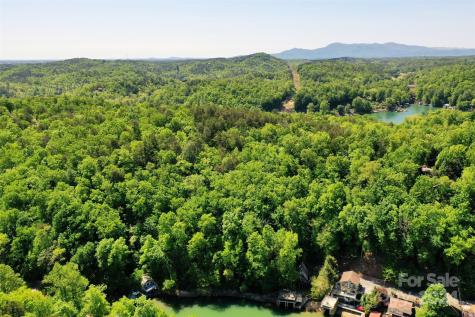 00 Buffalo Shoals Road Lake Lure NC 28746