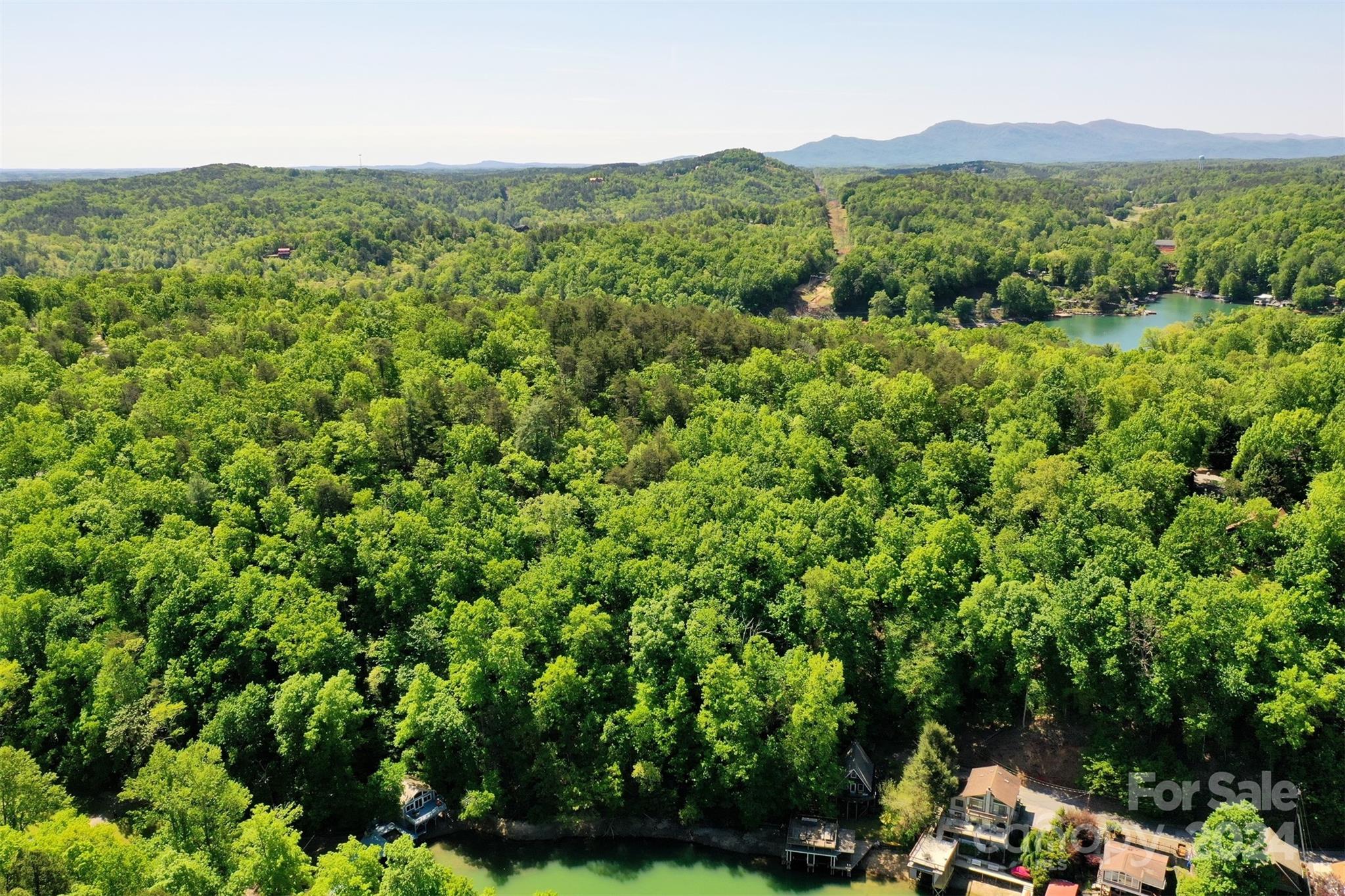 00 Buffalo Shoals Road Lake Lure NC 28746