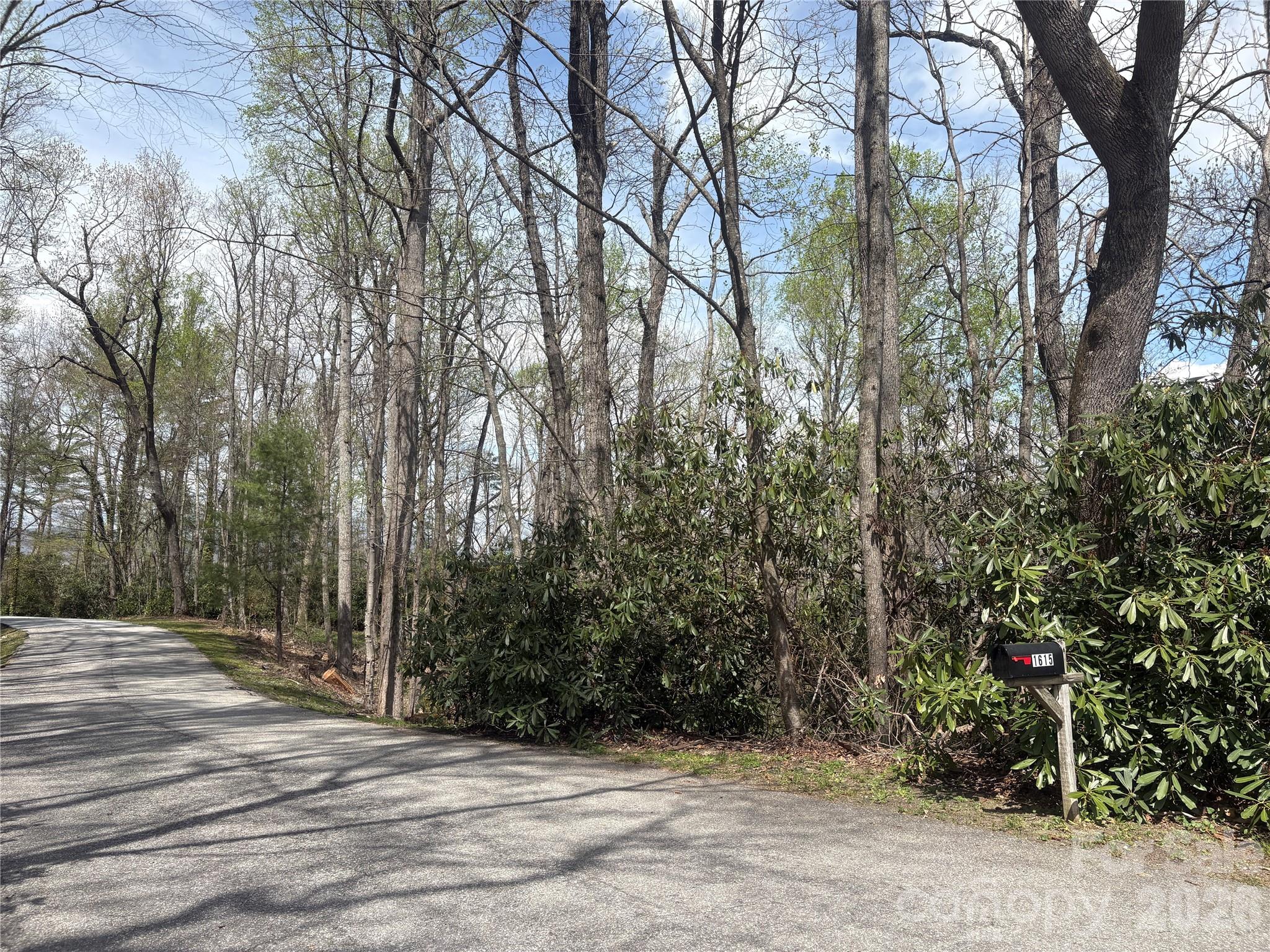 Tbd Swiss Pine Lake Drive Spruce Pine NC 28777