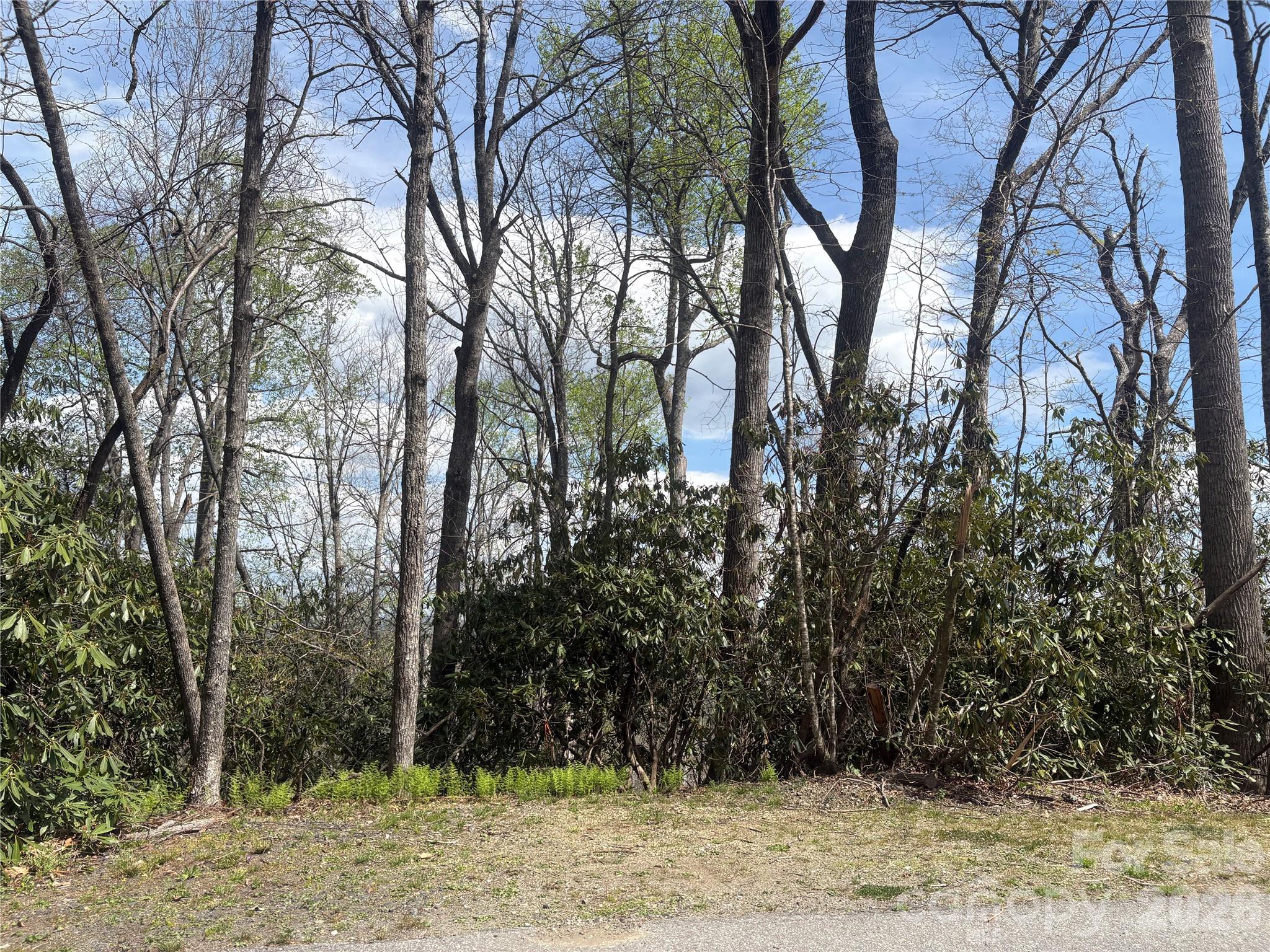 Tbd Swiss Pine Lake Drive Spruce Pine NC 28777