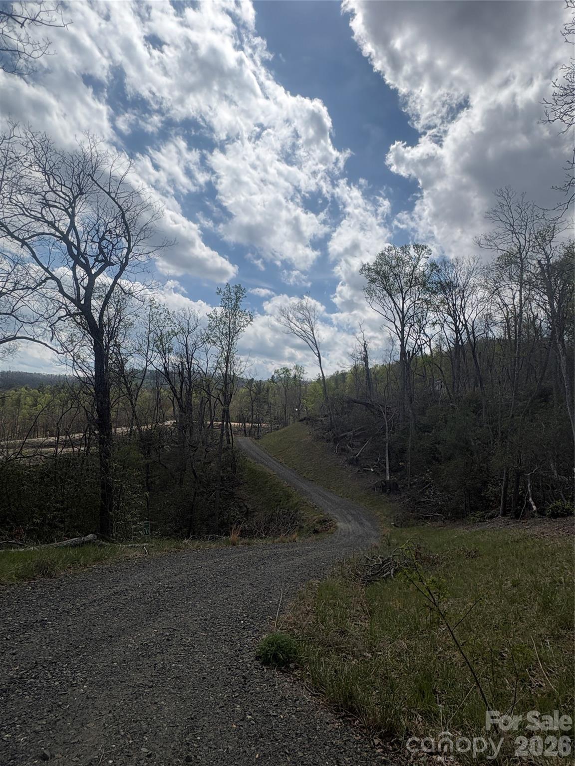 Tbd Swiss Pine Lake Drive Spruce Pine NC 28777