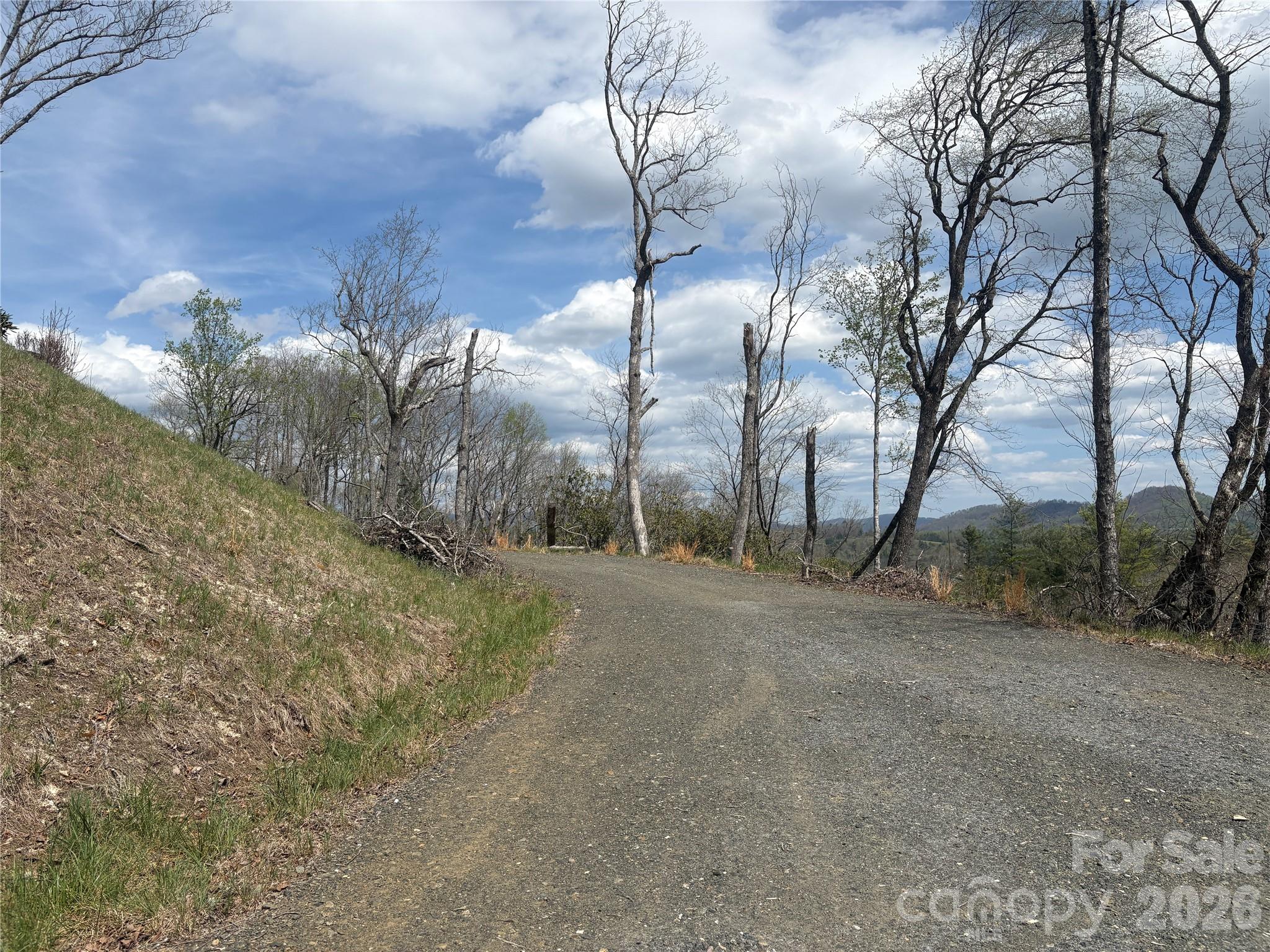 Tbd Swiss Pine Lake Drive Spruce Pine NC 28777
