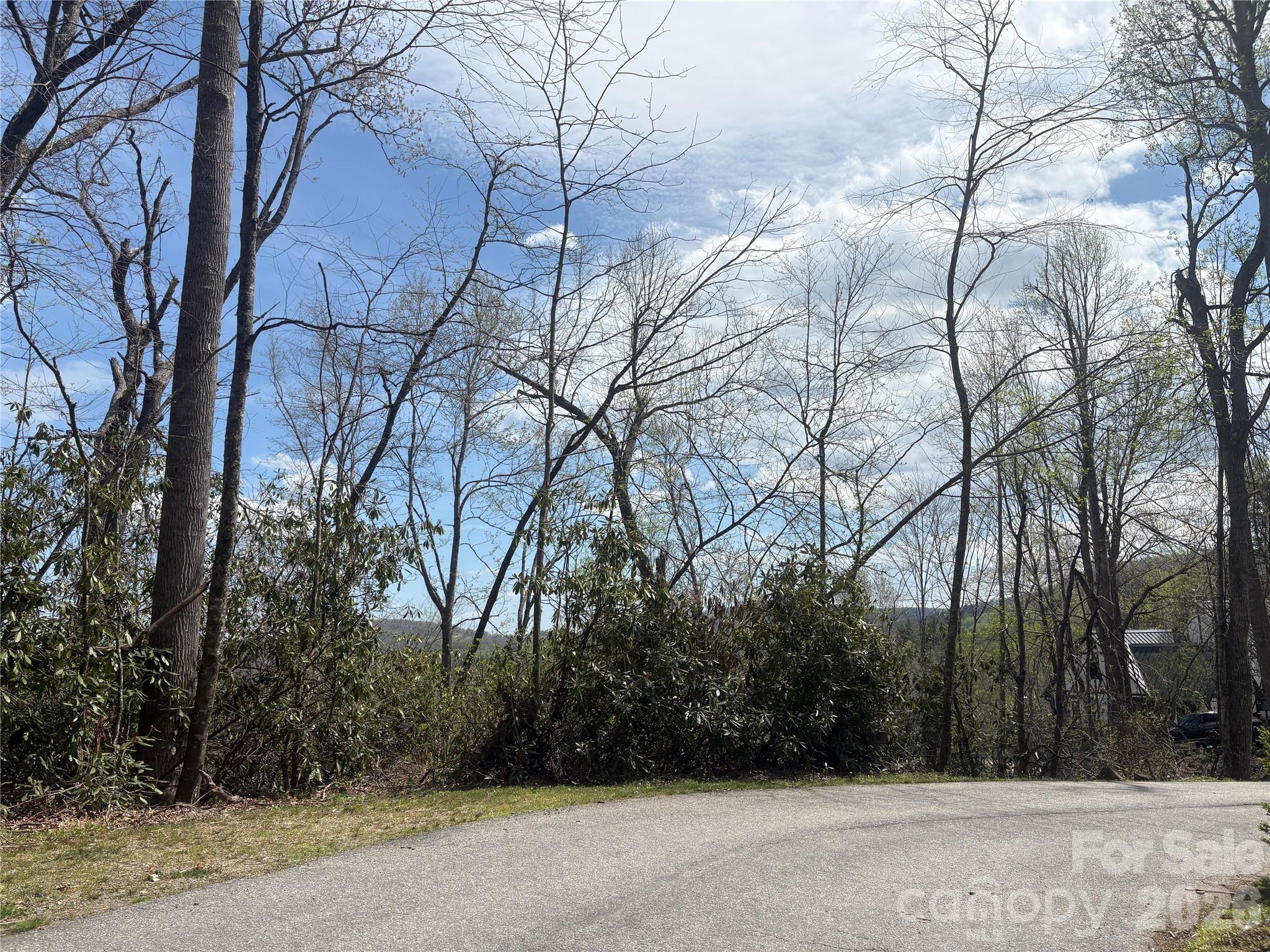 Tbd Swiss Pine Lake Drive Spruce Pine NC 28777