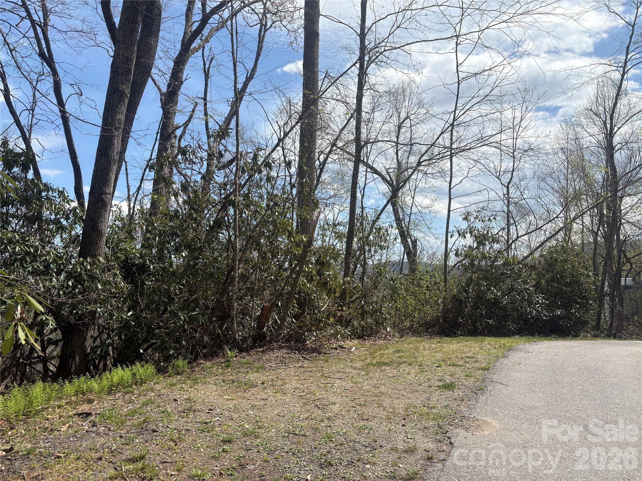 Tbd Swiss Pine Lake Drive Spruce Pine NC 28777