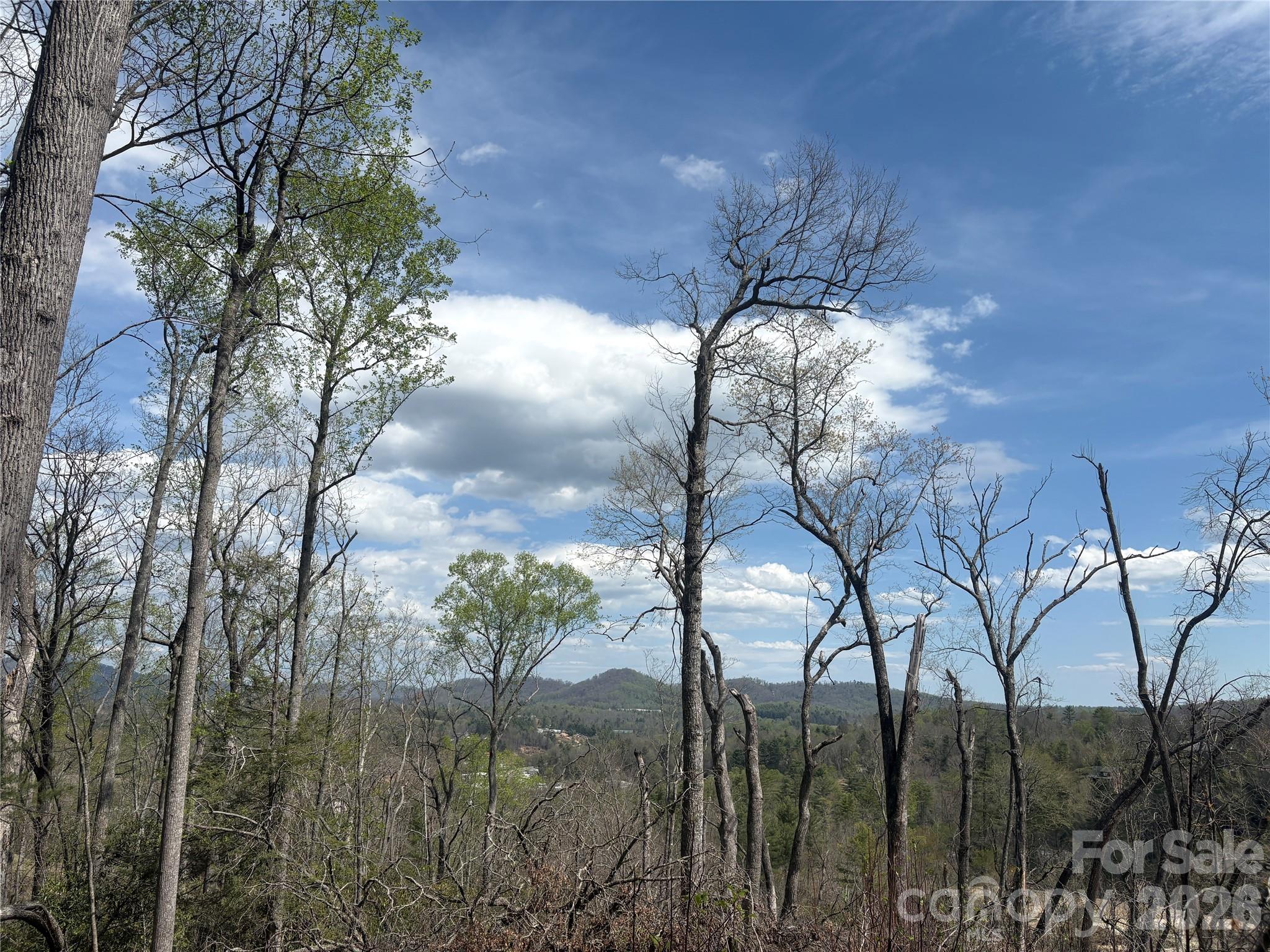 Tbd Swiss Pine Lake Drive Spruce Pine NC 28777