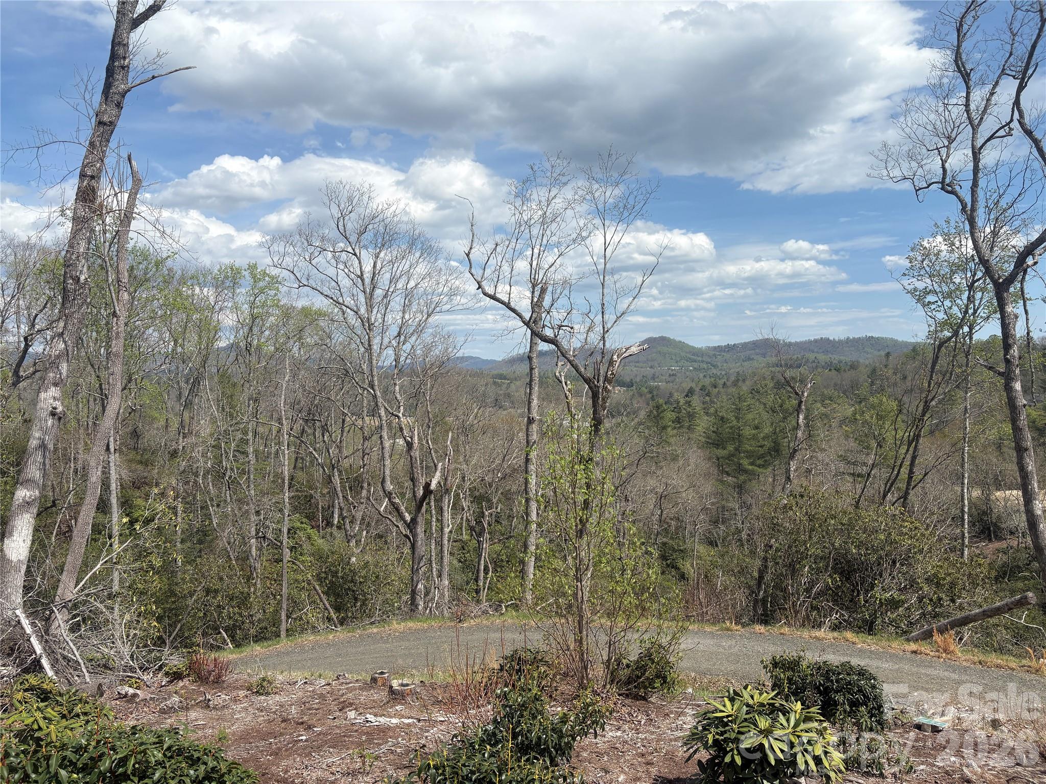 Tbd Swiss Pine Lake Drive Spruce Pine NC 28777
