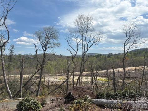 Tbd Swiss Pine Lake Drive Spruce Pine NC 28777