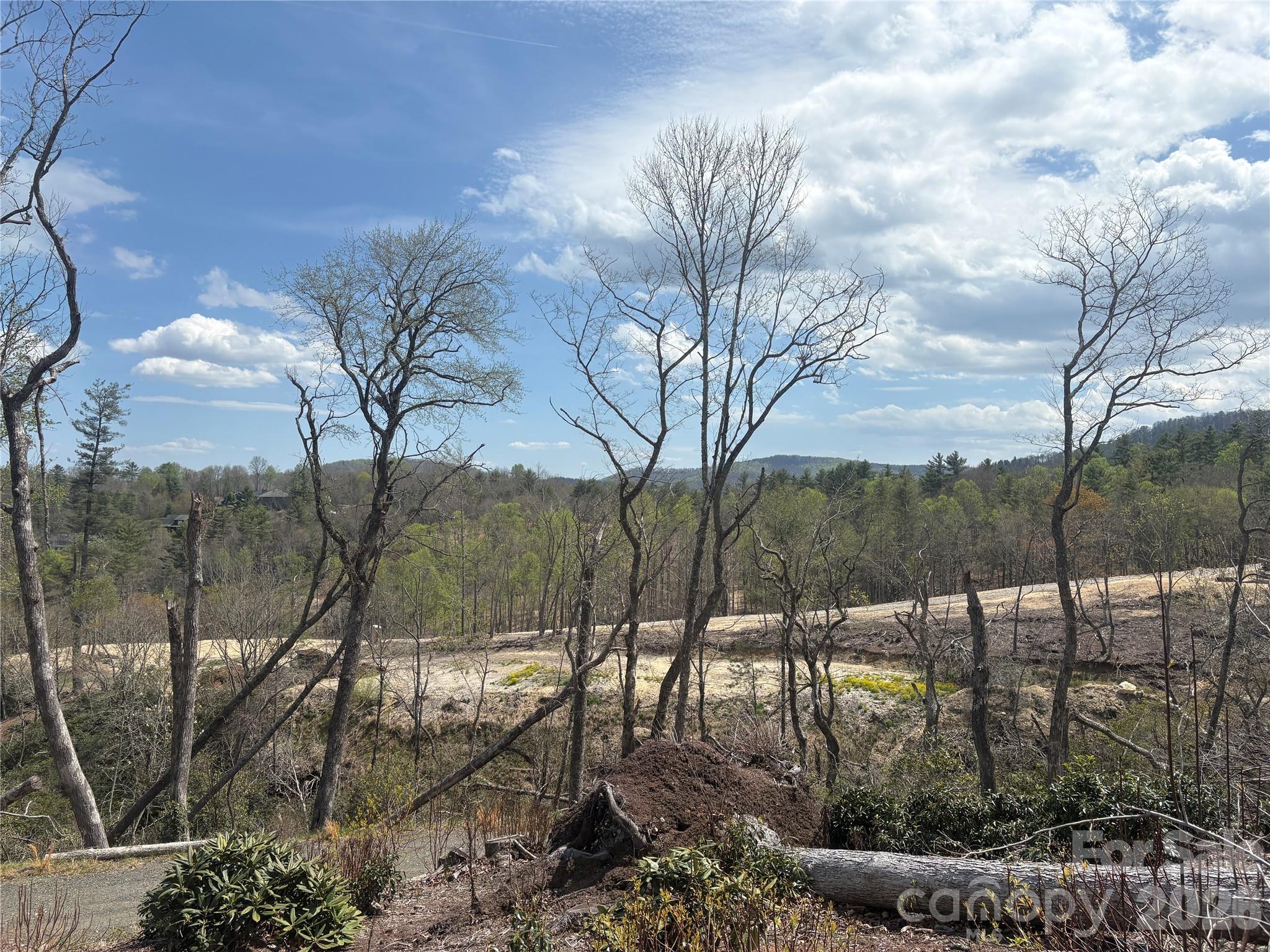 Tbd Swiss Pine Lake Drive Spruce Pine NC 28777